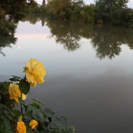 Logis Hotel Auberge Du Port Des Roches Hotel Luche-Pringe