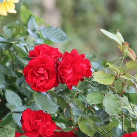 Logis Hotel Auberge Du Port Des Roches Luche-Pringe