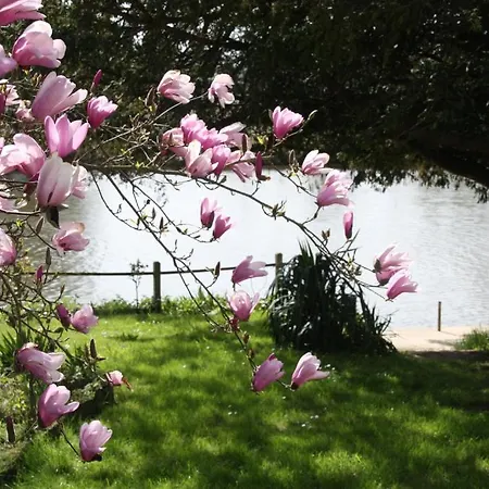 Logis Hotel Auberge Du Port Des Roches Otel Luche-Pringe