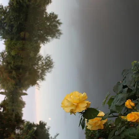 Logis Hotel Auberge Du Port Des Roches