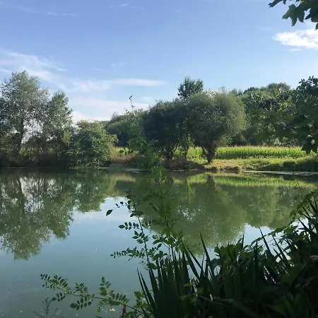 Logis Hotel Auberge Du Port Des Roches Otel